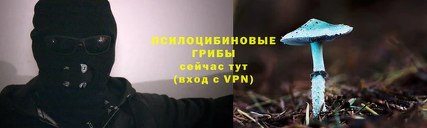 марки nbome Алзамай