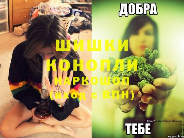 mdpv Коряжма