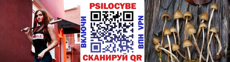 Галлюциногенные грибы мухоморы  Осинники 