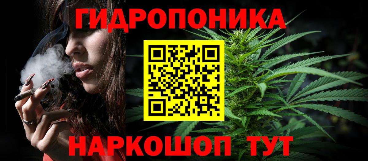 Каннабис конопля  Бошки Шишки Ganja  Вход с VPN  Конопля сатива  Осинники 